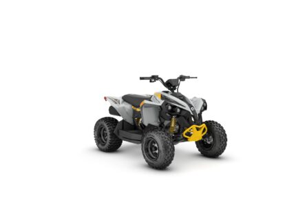 Renegade EFI 110 Catalyst grey & Neo-Yellow INT MY26